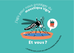 Moustique tigre : carte France 2023, maladie, photo, taille